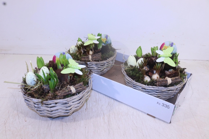 <h4>ARR BOL KNOLGEWAS</h4>