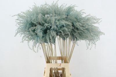 <h4>Dried Miscanthus Light Blue 90cm</h4>