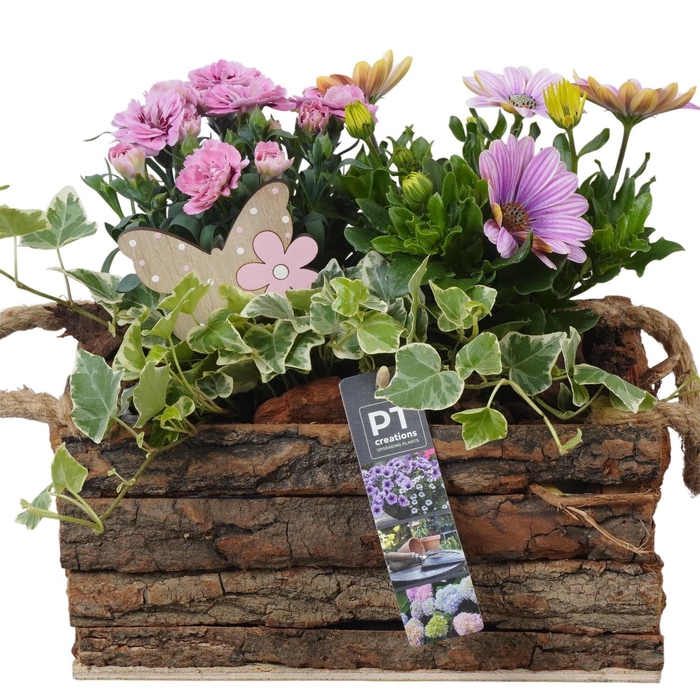 <h4>PTPP6993 Arrangement Patio in houten bak</h4>