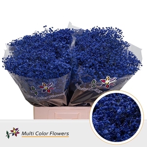 Gyps Grof Blauw Donker