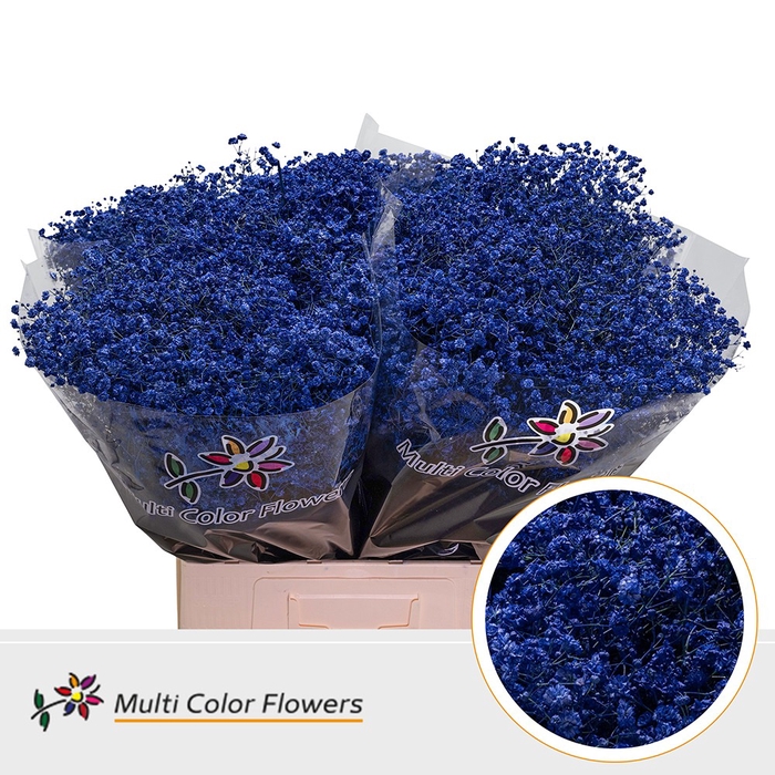 <h4>Gyps Grof Blauw Donker</h4>