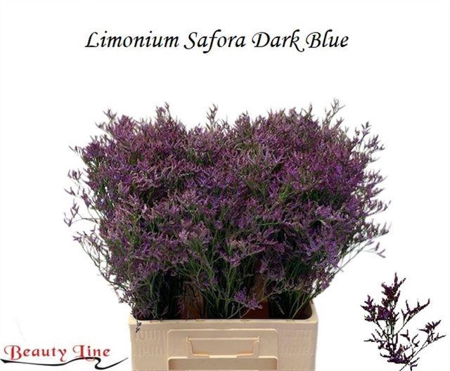 <h4>LIM SAF DARK BLUE</h4>