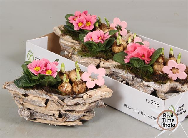 Arr Tuinplanten berk schors