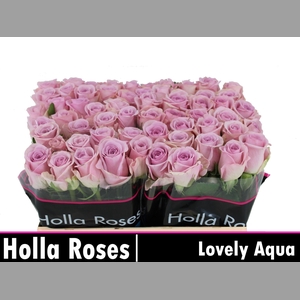 R GR LOVELY AQUA!