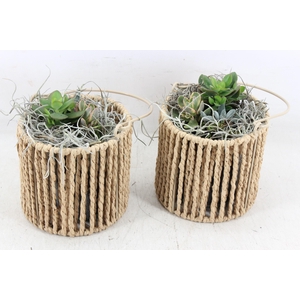 Arr2 Js - Touw Lantaarn X6 Eche.