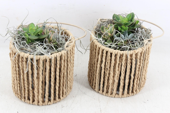 Arr2 Js - Touw Lantaarn X6 Eche.