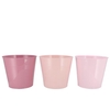 Zinc Summer Pink Mix Bucket Basic Ass 25x22x17cm