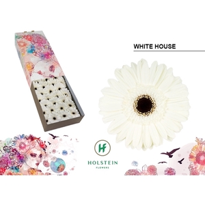 Ge Gr White House Box Summit