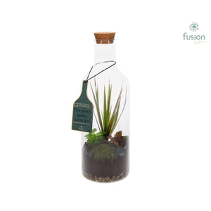Green Bottle Fles Medium met Groen Planten