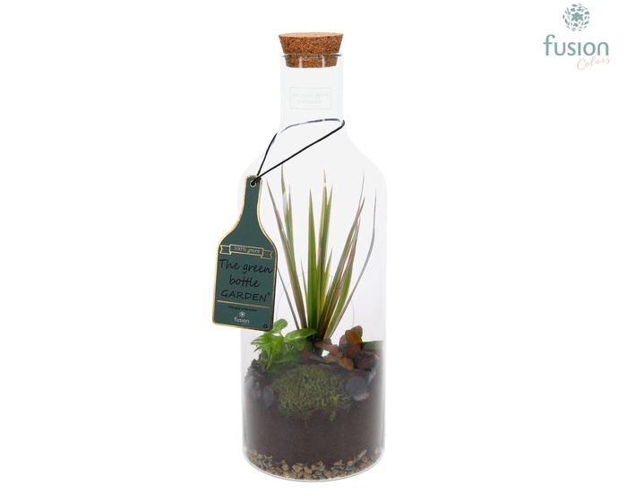 <h4>Green Bottle Fles Medium met Groen Planten</h4>