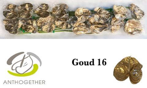 <h4>ANTH A OV KLB H%</h4>