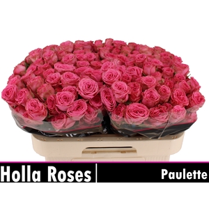 Paulette!