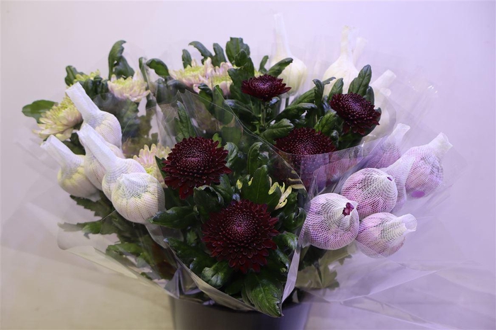 <h4>Chr G Deco Mix</h4>