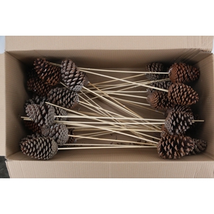 Stick Maritima Cone 10/14cm