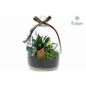 Green BottleNovella Medium met arrangement