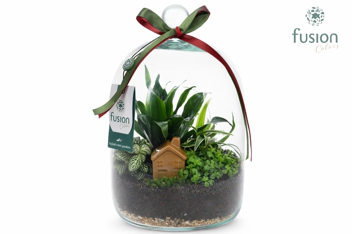 <h4>Green BottleNovella Medium met arrangement</h4>