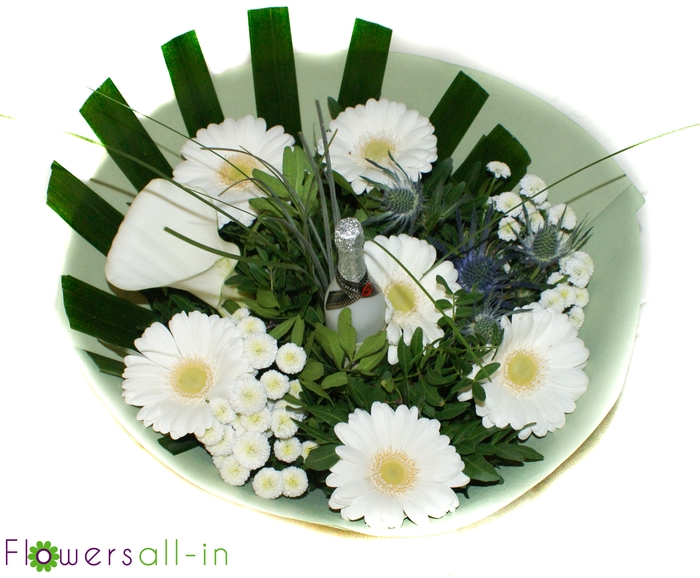 <h4>NJ202305 Geel</h4>