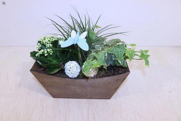 <h4>ARR TUINPLANTEN</h4>