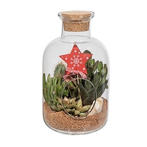 GLASS COMPOSITION Ø 14 H 24 WITH CHRISTMAS DECORATION - IN CARDBOARD BOX 15x15 CM (CACTUS EN SUCCULENTEN)