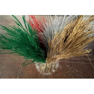 AA.Xmas Greens - Beefwood