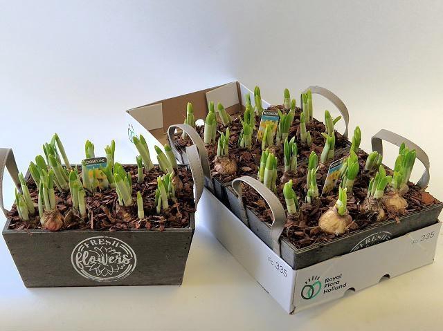 <h4>ARR N TETE A TETE</h4>