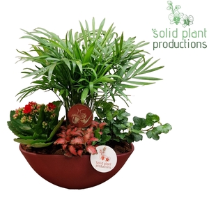 CH005 Eyleen Red