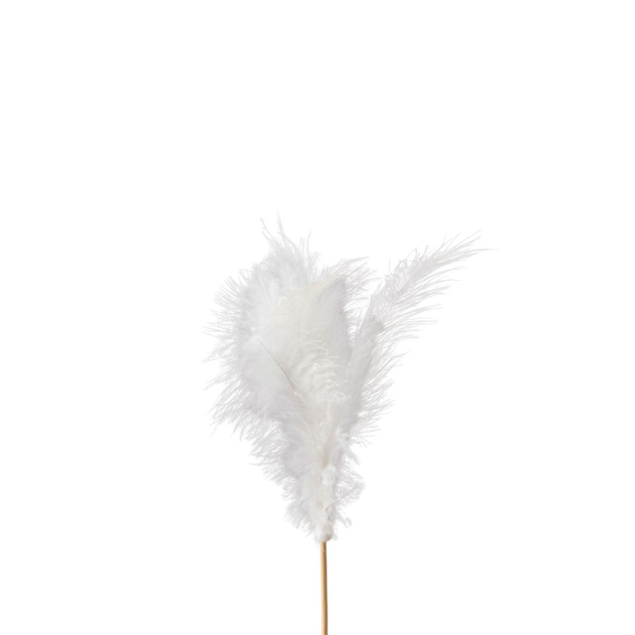 <h4>Bijsteker 10cm Veren 10cm</h4>