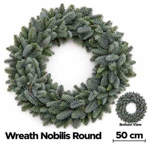 Abies Nobilis Blauw