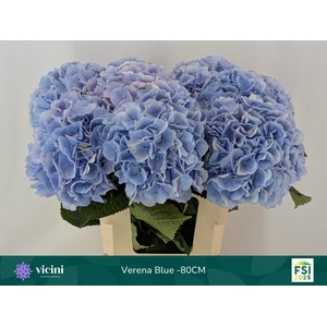 HYDR M CH VERENA BL