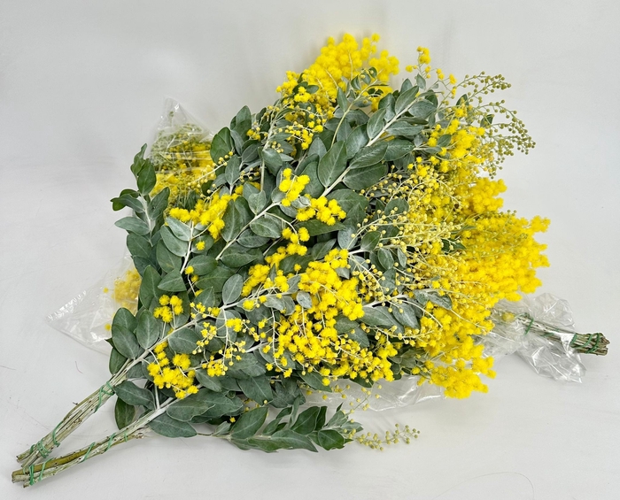 <h4>Acacia Denis Boden 150gr Flowering Bag</h4>