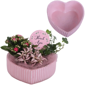 Mothersday Arr. Indoor Ceramic Heart Bowl Ribbles Ø21cm 3PP