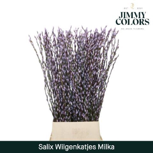 Salix Katjes L120 Milka