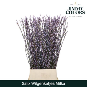 Salix Katjes L120 Milka