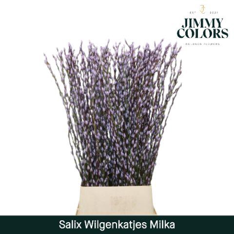 <h4>Salix Katjes L120 Milka</h4>