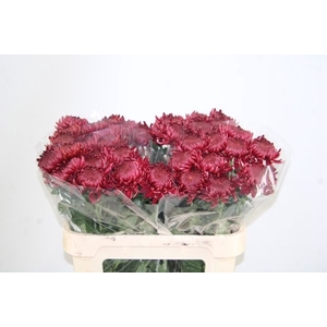 CHR G BIGOUDI RED