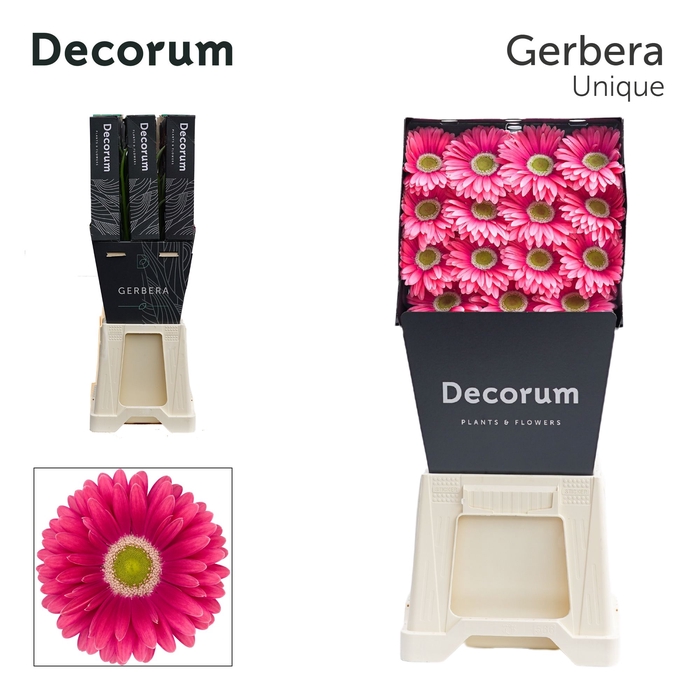 <h4>Gerbera Unique Diamond per kaart</h4>