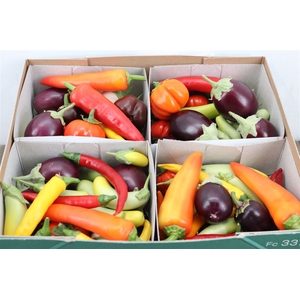 Sier Cuc Aubergine Peper Mix X4