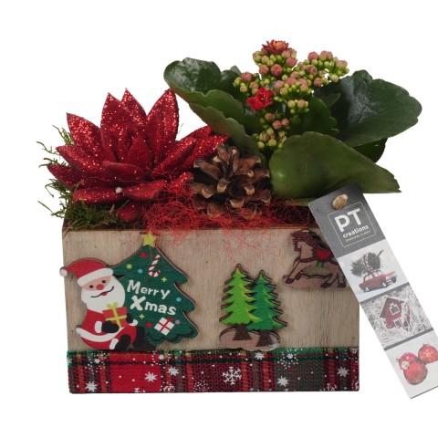 <h4>PTCHR7403 Arrangementen Kerst</h4>