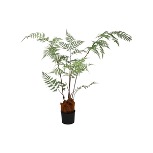 Silk Fern Polystichum Bakerianum In Pot Green 158cm