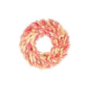 Wr Lagurus Pink White D30