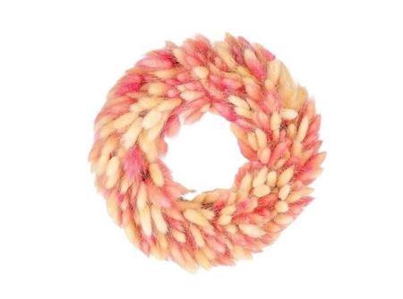 <h4>Wr Lagurus Pink White D30</h4>