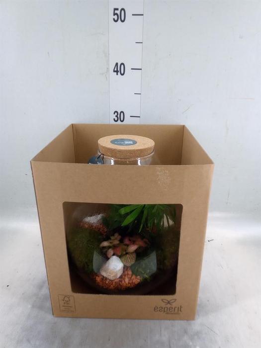 <h4>Arr. Planten H%</h4>