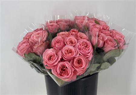 <h4>R Gr London Eye</h4>