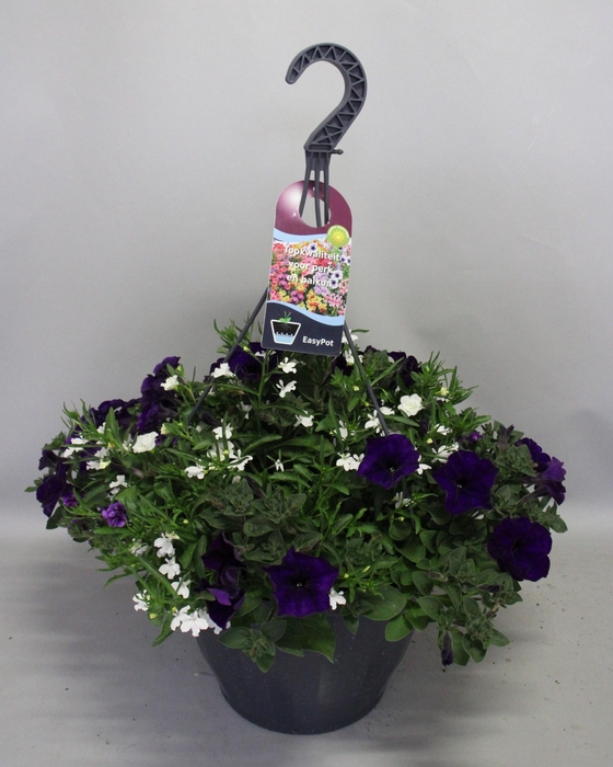 <h4>Hangpotten 37 cm met waterreservoir Mix 08 Cobalt White mix</h4>