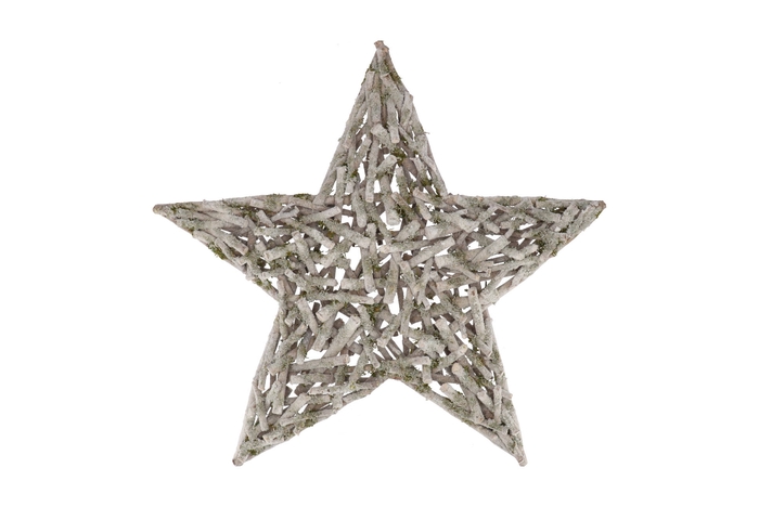 Festive Star Poplar Moss With Snow 70x70x9cm