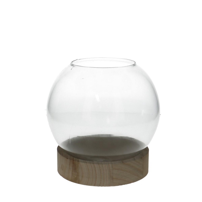 <h4>Glas Vaas Bol voet hout d20*21cm</h4>