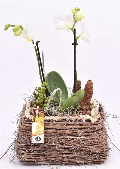 <h4>Natuur mand 18x12cm</h4>