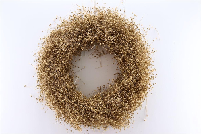 <h4>Wr Vlas 60cm Natural</h4>