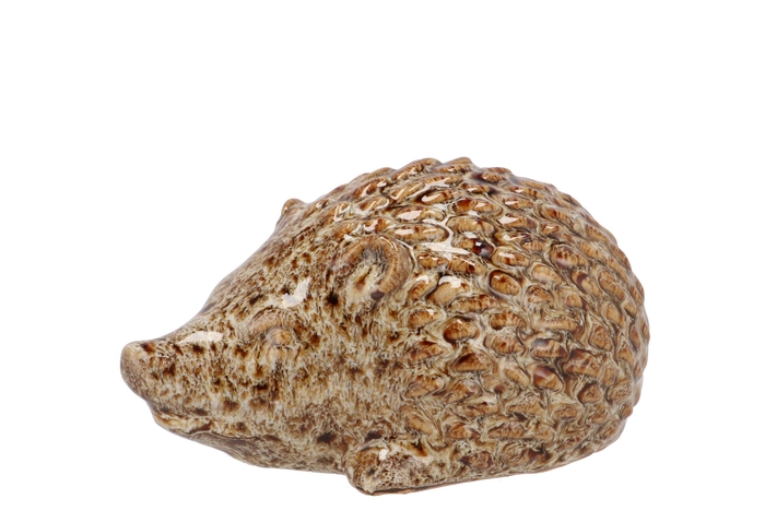 Hedgehog Glaze Brown 16x9x8cm Nm