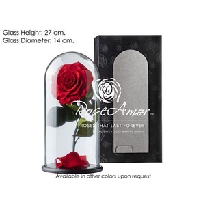 Dome Aurora Red02 Bulk